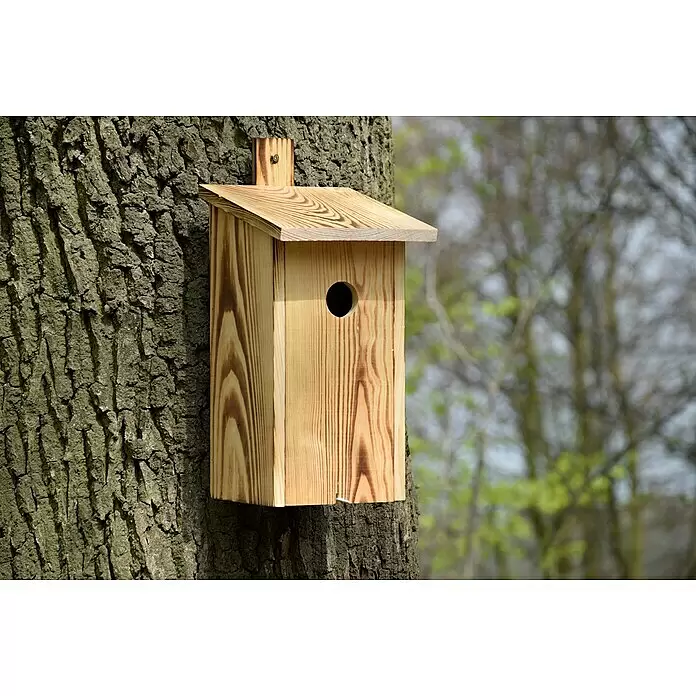Dobar Nistkasten - 15,5 x 19 x 33 cm, Holz, Braun - Vogelhaus aus hellem Holz mit Maserung, an einem Baumstamm befestigt.