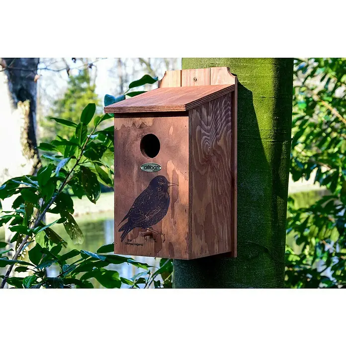 Dobar Nistkasten - L x B x H: 19 x 20 x 38 cm, Braun, Holz - Nahaufnahme eines Holz-Vogelhauses mit einer Abbildung eines Vogels, das an einem Baum befestigt ist und eine einladende Atmosphäre schafft.