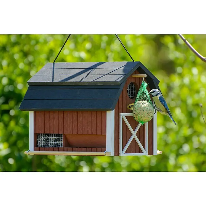 Dobar Vogelhaus Katthult - 31,5 x 21 x 23,5 cm, Holz, Rot - Ein charmantes Vogelhaus mit Meisenknödel, an dem sich eine Blaumeise gütlich tut. Das Häuschen hängt inmitten grüner Natur.