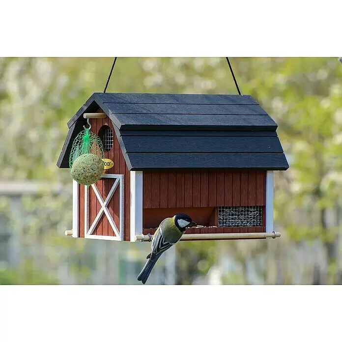 Dobar Vogelhaus Katthult - 31,5 x 21 x 23,5 cm, Holz, Rot - Vogelhaus im roten Scheunenstil mit dunklem Dach. Eine Kohlmeise frisst Samen, ein Meisenknödel hängt daneben.