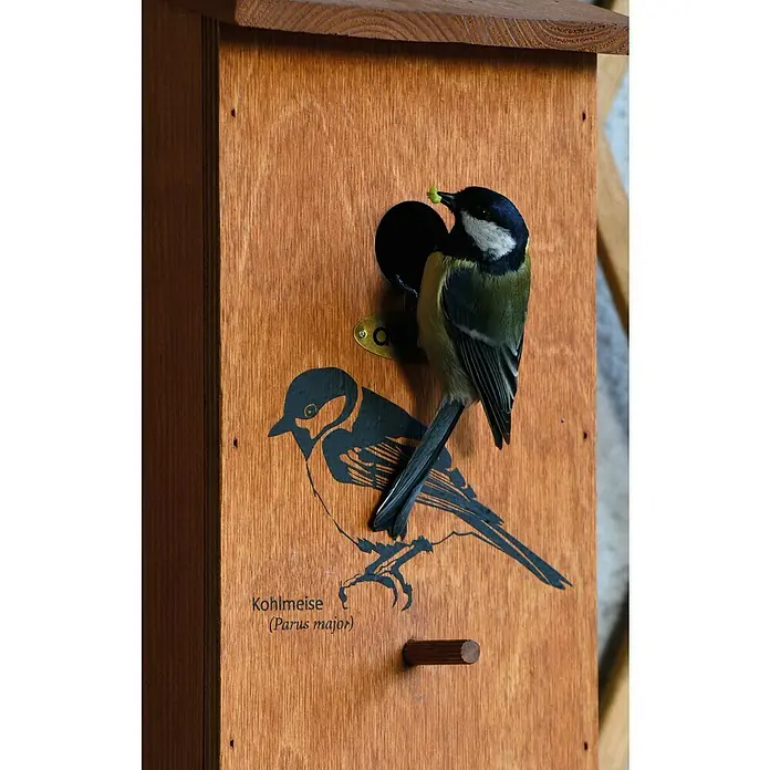 Dobar Nistkasten - L x B x H: 17 x 18 x 35 cm, Braun, Holz - Ein Meisenknödelhaus aus Holz mit einem Kohlmeisen-Design, auf dem eine echte Kohlmeise mit Futter im Schnabel sitzt.