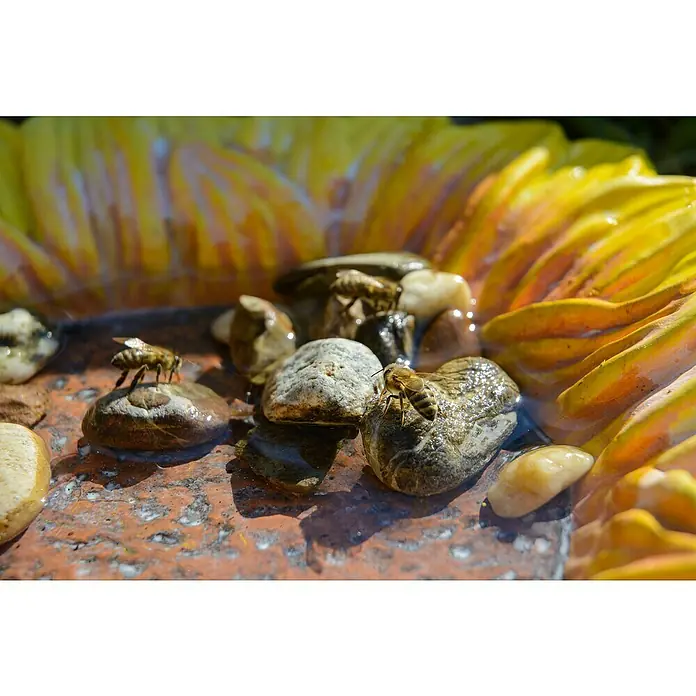 Dobar Insektentränke Fiore - Gelb, Ø x H: 30,5 x 4 cm, Keramik - Nahaufnahme von Bienen, die auf Steinen in einem Vogelbad sitzen, mit gelben Blumen im Hintergrund.