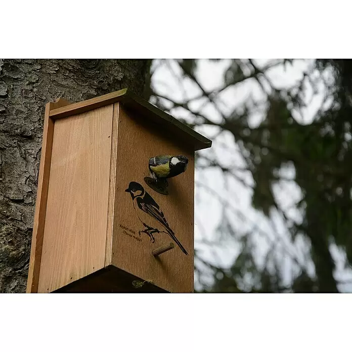 Dobar Nistkasten - L x B x H: 17 x 18 x 35 cm, Braun, Holz - Hölzernes Vogelhaus an einem Baum, aus dem eine Kohlmeise schaut. Mit Vogelillustration und Text.