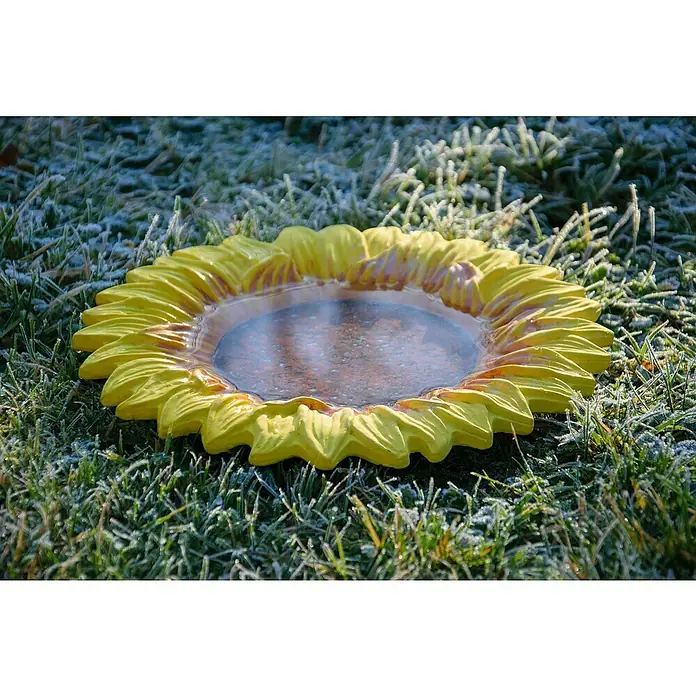 Dobar Insektentränke Fiore - Gelb, Ø x H: 30,5 x 4 cm, Keramik - Gelbe Sonnenblumen-Vogeltränke im Garten. Die Tränke ist mit Wasser gefüllt und von Gras mit Reif umgeben.