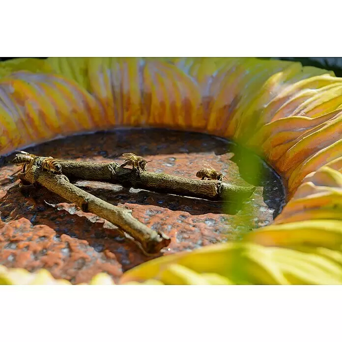Dobar Insektentränke Fiore - Gelb, Ø x H: 30,5 x 4 cm, Keramik - Bienen trinken Wasser aus einem gelben sonnenblumenförmigen Vogelbad, auf Ästen sitzend.