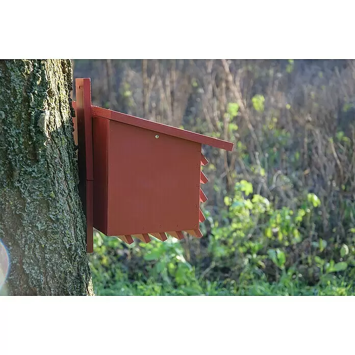Dobar Insektenhotel für Florfliegen - 27 x 29 x 30 cm, Holz, Rot - Rotbrauner Fledermauskasten aus Holz an einem Baumstamm in natürlicher Umgebung.