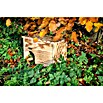 Dobar Igelhaus (30,5 x 26,5 x 24 cm, Holz, Braun) | BAUHAUS