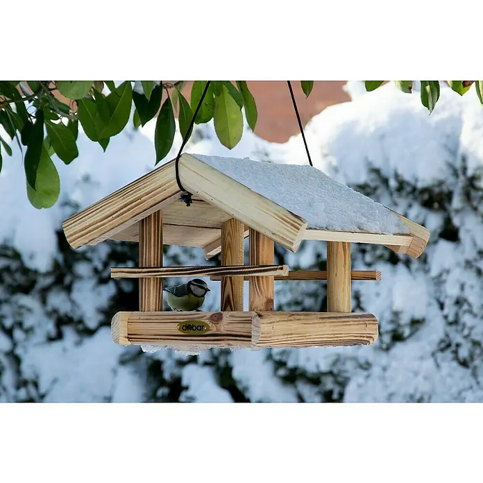 Dobar Vogelfutterhaus Quemado - L x B x H: 30 x 34,5 x 22,5 cm, Braun, Holz - Nahaufnahme eines Holz-Vogelhauses mit Schnee auf dem Dach und einer Blaumeise im Inneren.
