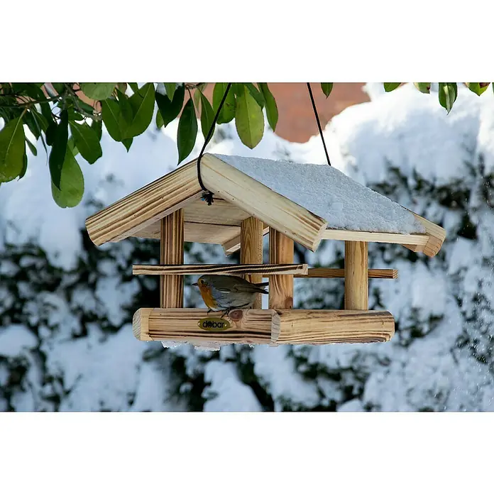 Dobar Vogelfutterhaus Quemado - L x B x H: 30 x 34,5 x 22,5 cm, Braun, Holz - Ein hölzernes Vogelhaus mit Schnee auf dem Dach, in dem ein Rotkehlchen sitzt, umgeben von Ästen und Schnee.