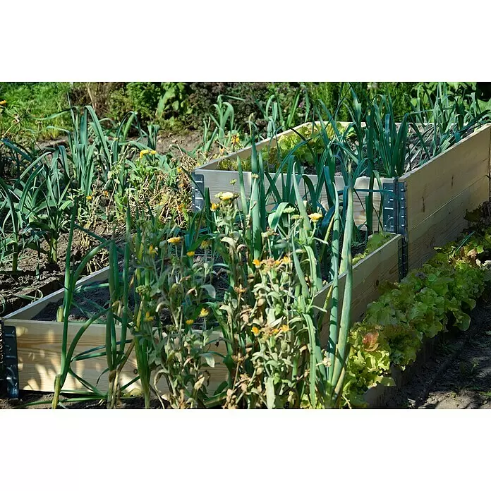 Dobar Hochbeetumrandung Palettenrahmen - L x B x H: 120 x 80 x 20 cm, Holz, Natur - Hölzernes Hochbeet in einem Garten, bepflanzt mit Lauch, Salat und Blütenpflanzen.