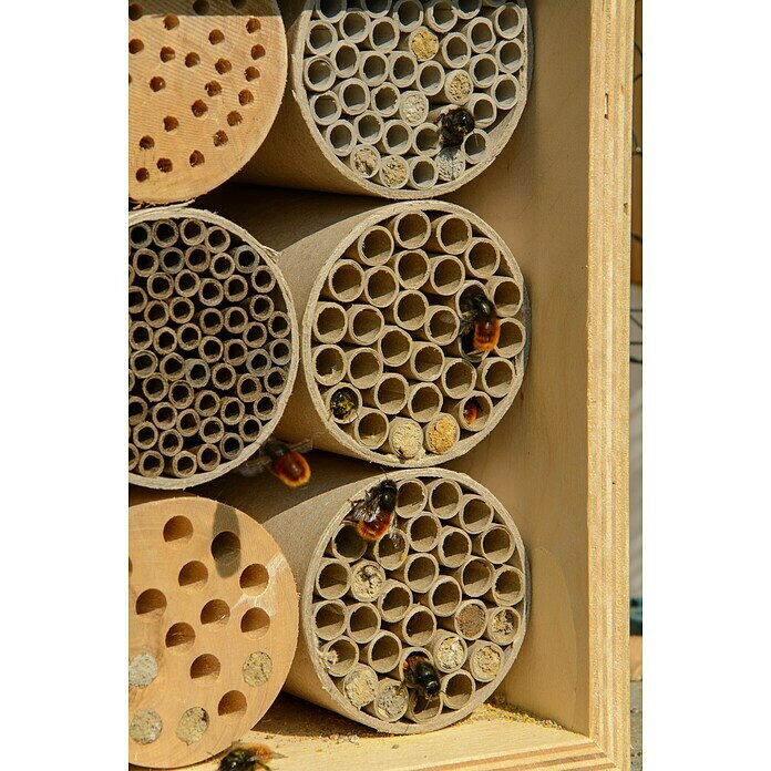 Dobar Insektenhotel (L x B x H: 15 x 12,5 x 22 cm, Braun) | BAUHAUS