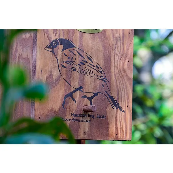 Dobar Nistkasten - L x B x H: 30 x 18 x 22,5 cm, Braun, Holz - Abbildung eines Spatz-Nistkastens mit einer Zeichnung eines Spatzes und dem wissenschaftlichen Namen Passer domesticus.
