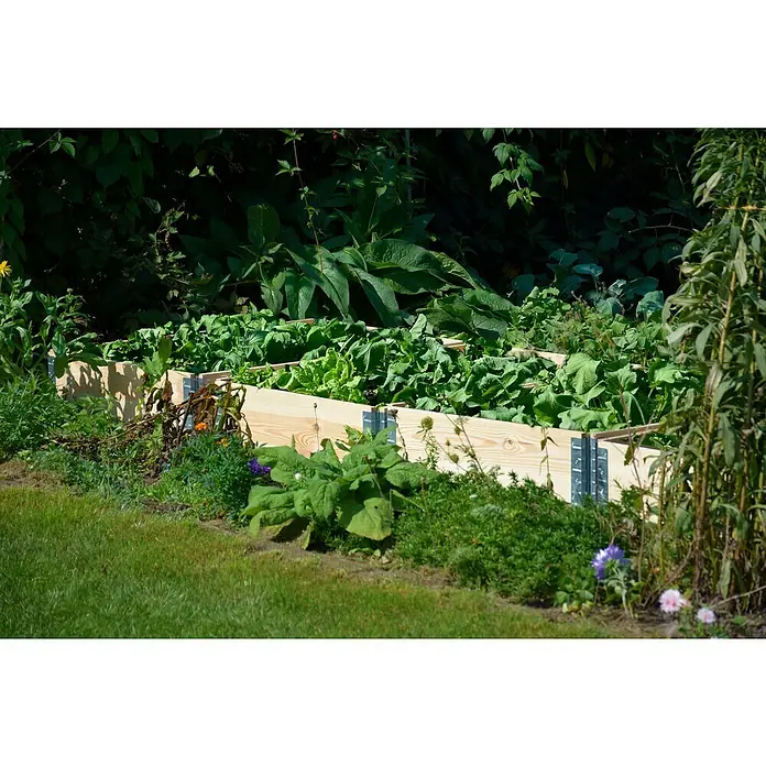 Dobar Hochbeetumrandung Palettenrahmen - L x B x H: 120 x 80 x 20 cm, Holz, Natur - Ein erhöhter Pflanzkasten aus Holz mit üppigem Gemüse in einem grünen Garten. Die Pflanzen sind gesund und gedeihen gut.