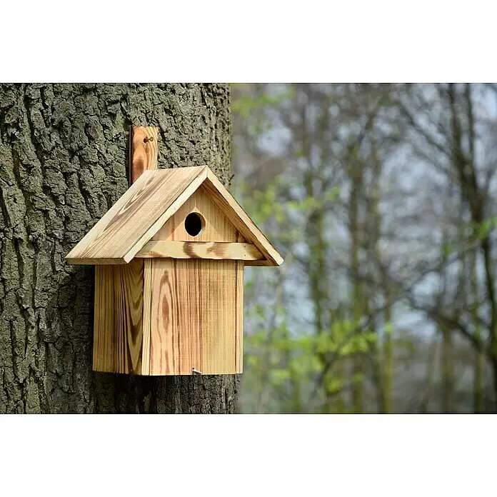 Dobar Nistkasten - L x B x H: 23,5 x 17,5 x 33 cm, Braun, Holz - Helles Holz-Vogelhaus mit rundem Eingang, an einem Baumstamm montiert.