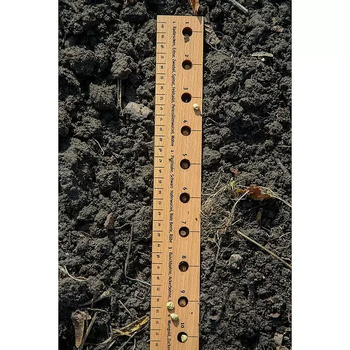 Dobar Starter-Set Anzucht - 1x Pflanzlineal, 1x Pikierstab, 5x Pflanzschild, 3x Samenmischung (Tomaten, Kopfsalat, Radieschen), Beiblatt - Pflanzlineal aus Naturholz in Erde, zeigt Saaten für Tiefe und Abstand an.