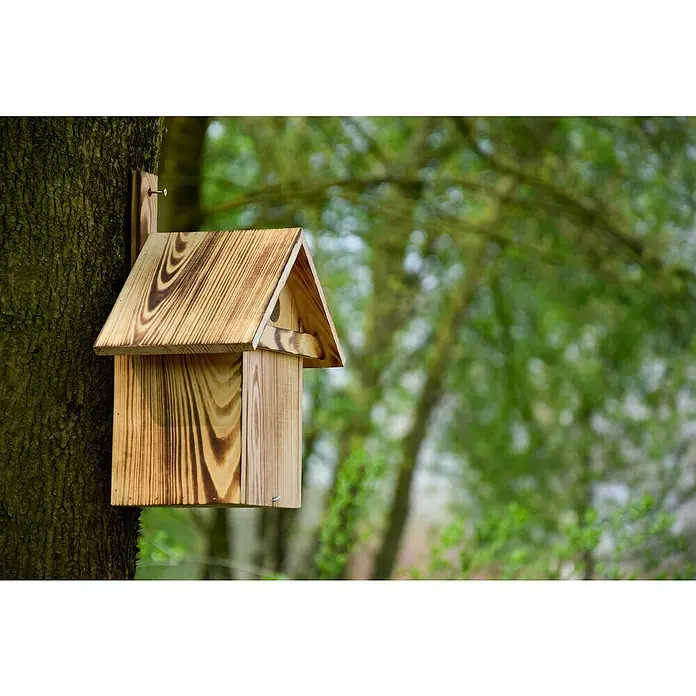 Dobar Nistkasten - L x B x H: 23,5 x 17,5 x 33 cm, Braun, Holz - Ein rustikales Vogelhaus aus Holz, befestigt an einem Baumstamm, bietet ein charmantes Zuhause für gefiederte Freunde in natürlicher Umgebung.