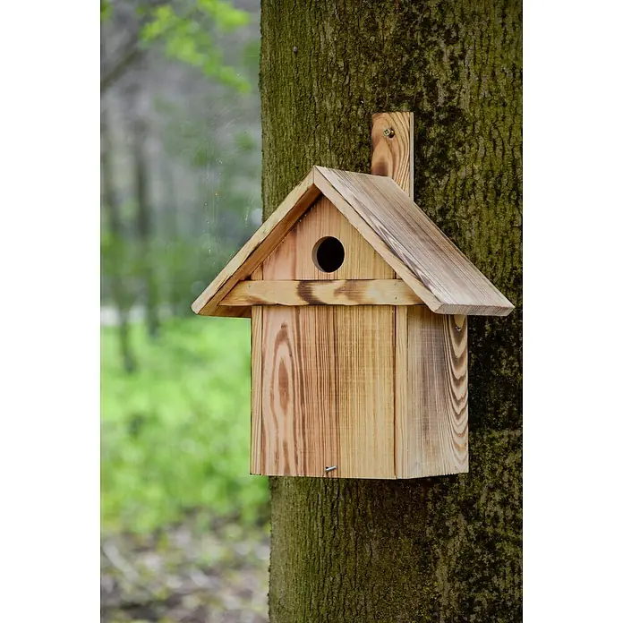 Dobar Nistkasten - L x B x H: 23,5 x 17,5 x 33 cm, Braun, Holz - Ein detailreiches Bild eines Vogelhauses aus hellem Holz, befestigt an einem Baumstamm im Grünen.