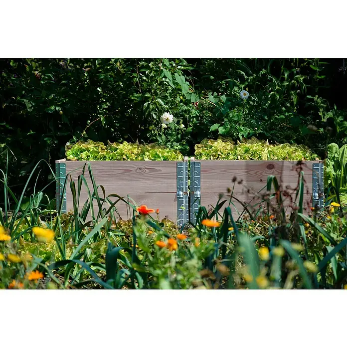 Dobar Hochbeetumrandung Palettenrahmen - L x B x H: 120 x 80 x 20 cm, Holz, Grau - Ein Hochbeet aus Holz mit Salatpflanzen, umgeben von grünen Pflanzen und bunten Blumen, präsentiert eine idyllische Gartenszene.