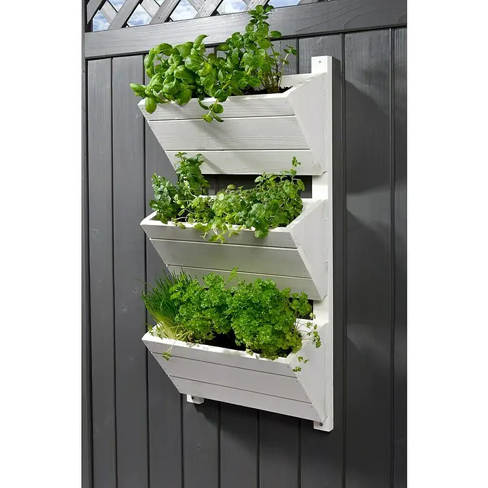 Dobar Hochbeet - L x B x H: 38 x 17,5 x 79 cm, Holz, Weiß - Eine vertikale Kräuterwand mit drei weißen Pflanzkästen, bepflanzt mit frischen Kräutern, die an einer grauen Holzwand befestigt ist.