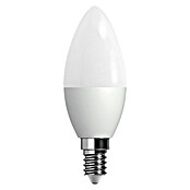 Voltolux Bombilla LED (5 W, E14, Blanco cálido, Mate, Forma: Vela)