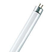 Osram Tubo fluorescente Interna (T8, Blanco cálido, 15 W, Largo: 45 cm, Clase de eficiencia energética: A)