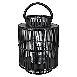 Farolillo alto (Altura: 43 cm, Negro)