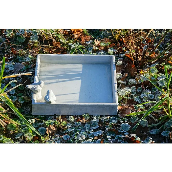 Dobar Vogeltränke Carré - Grau, Keramik, L x B x H: 29 x 29 x 5 cm - Eine quadratische Vogeltränke aus Beton mit zwei Vogelornamenten steht auf dem Boden, umgeben von Pflanzen und Blättern.