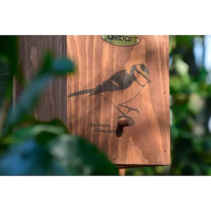 Dobar Nistkasten - L x B x H: 16 x 16 x 32 cm, Braun, Holz - Braunes Vogelhaus aus Holz mit Blaumeisen-Illustration, Text "Blaumeise (Parus caeruleus)" und kleinem Sitzstangenstift.