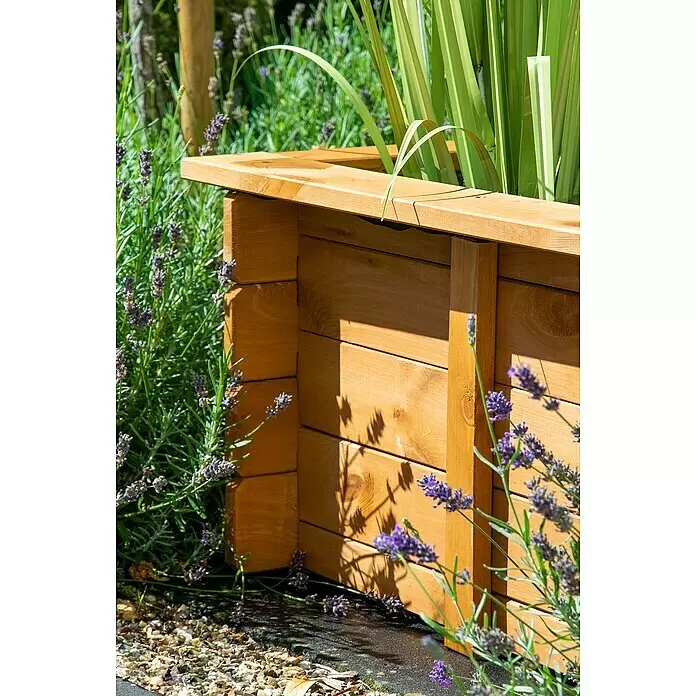 Dobar Hochteich Square - L x B x H: 78 x 78 x 42 cm - Holzkübel im Garten, aus hellem Holz, gefüllt mit hohen Grünpflanzen und umgeben von Lavendel.