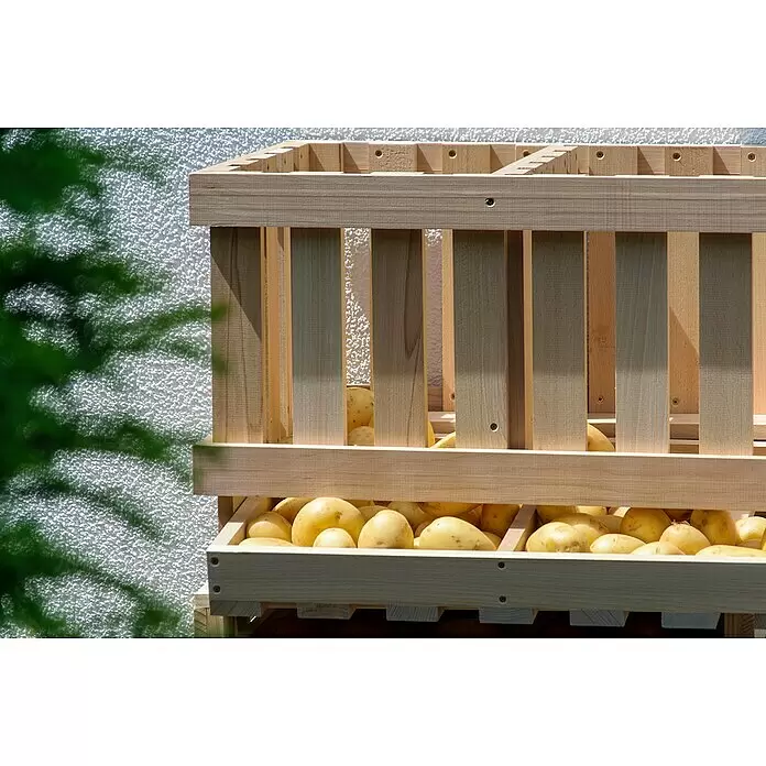 Dobar Kartoffel- & Obsthorde - L x B x H: 60 x 40 x 40 cm - Mehrstufige Kartoffel-Lagerbox aus Holz, gefüllt mit hellen Kartoffeln, für optimale Belüftung.