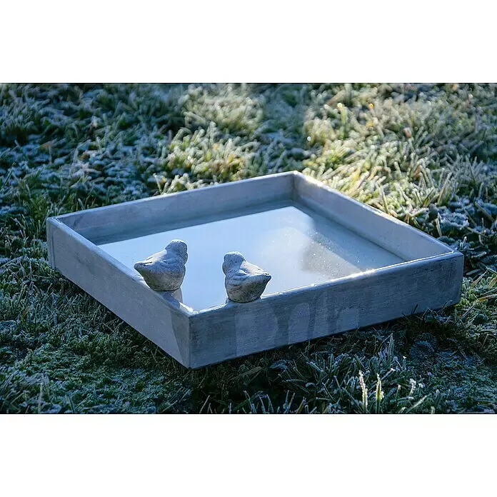Dobar Vogeltränke Carré - Grau, Keramik, L x B x H: 29 x 29 x 5 cm - Graue Vogeltränke aus Beton mit zwei Zier Vögeln am Rand, mit Wasser gefüllt, in frostigem Gras.