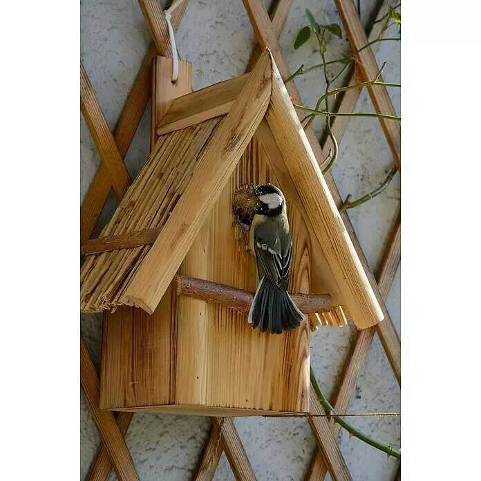 Dobar Nistkasten - 26 x 19 x 33 cm, Holz, Braun - Nistkasten aus Naturholz mit einer Kohlmeise am Eingang, an einem Holzspalier befestigt.