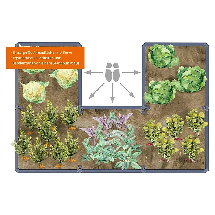 Garantia Hochbeet ERGO QUADRO TurboPlus U - 240 x 160 x 80 cm, Kunststoff, Steinoptik - U-förmiger Garten mit Blumenkohl, Kohl, Salbei, Karotten und Rüben, der das ergonomische Arbeiten und Bepflanzen von einem Standpunkt aus erleichtert.
