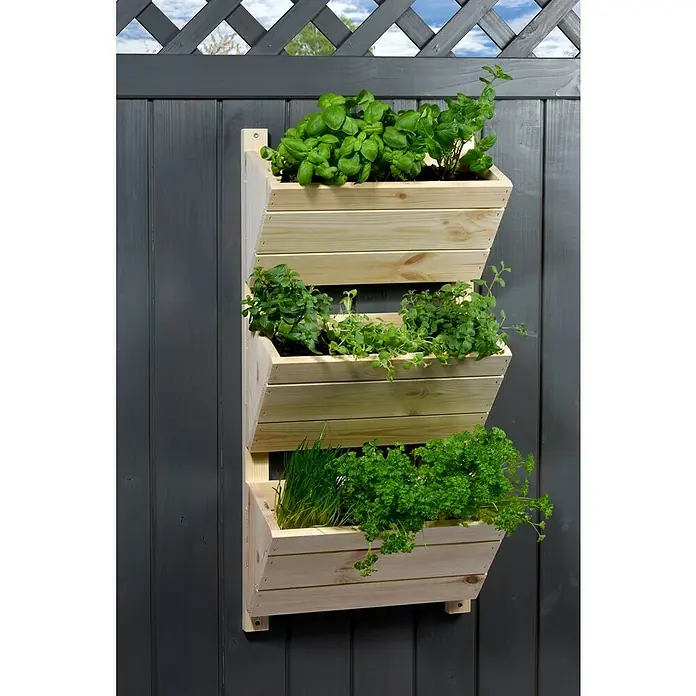 Dobar Hochbeet - L x B x H: 38 x 17,5 x 79 cm, Holz, Natur - Vertikaler Kräutergarten aus Holz für die Wandmontage. Mit Basilikum, Minze, Schnittlauch und Petersilie bepflanzt. Praktische Gartendeko.
