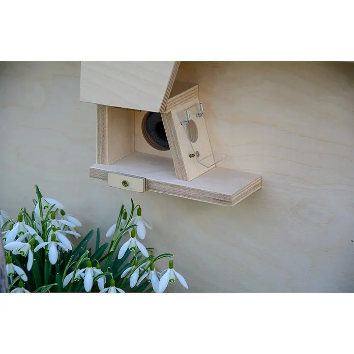 Dobar Nistkasten für Hummeln - L x B x H: 51 x 43 x 36 cm, Braun/Rot, Holz - Nahaufnahme eines hölzernen Vogelhauses mit einer klaren Plexiglasfront, montiert an einer Holzwand, mit weißen Schneeglöckchen darunter.