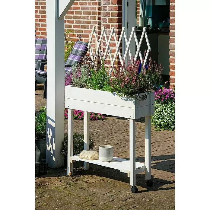 Dobar Hochbeet - L x B x H: 79 x 28,5 x 130 cm, Holz, Weiß - Weißer Holz-Hochbeet mit Rankgitter, Ablage und Rollen, bepflanzt mit Heidekraut und Kräutern, auf einer sonnigen Terrasse.
