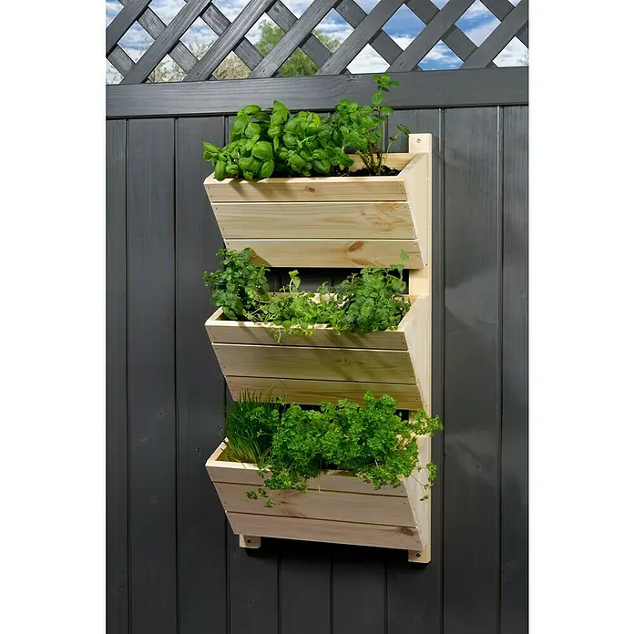 Dobar Hochbeet - L x B x H: 38 x 17,5 x 79 cm, Holz, Natur - Eine dreistufige vertikale Kräutergartenanlage aus hellem Holz hängt an einer grauen Holzwand. Die Kräuterbasilkum, Minze und Petersilie gedeihen üppig.