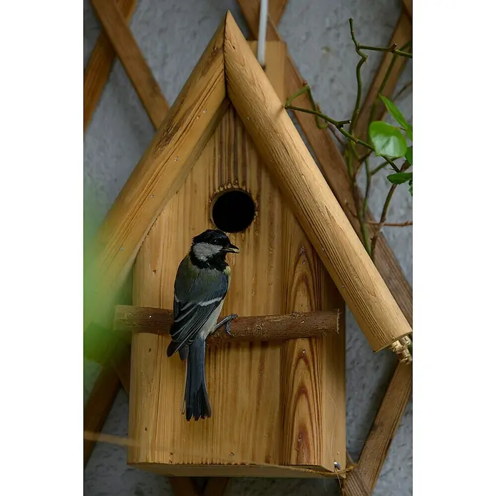 Dobar Nistkasten - 26 x 19 x 33 cm, Holz, Braun - Ein Meisenknödel hängt an einem hölzernen Vogelhaus mit einem kleinen Vogel darauf, perfekt für Naturliebhaber.