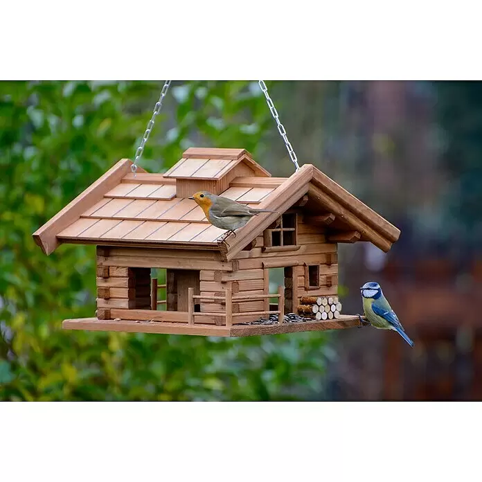 Dobar Vogelfutterhaus Appenzell - L x B x H: 37 x 37 x 26 cm, Braun, Holz - Hölzernes Vogelhaus-Futterhäuschen mit Rotkehlchen und Blaumeise, bereit zur Fütterung.