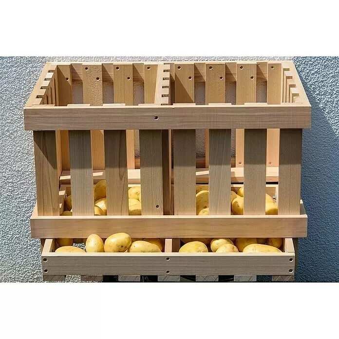 Dobar Kartoffel- & Obsthorde - L x B x H: 60 x 40 x 40 cm - Helles hölzernes Kartoffellagerregal, an der Wand montiert und gestuft, gefüllt mit gelben Kartoffeln.