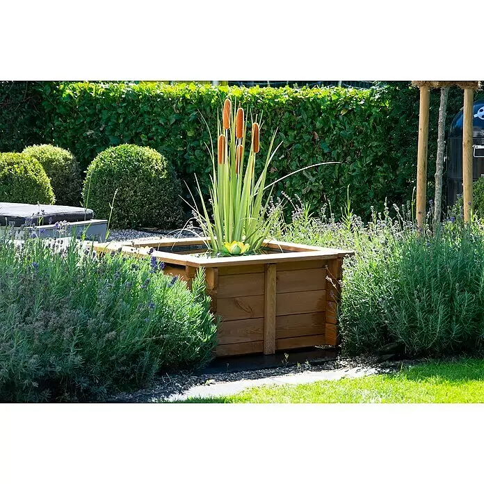 Dobar Hochteich Square - L x B x H: 78 x 78 x 42 cm - Holz-Hochteich mit Rohrkolben und gelber Seerose, umgeben von Lavendel in einem sonnigen Garten.