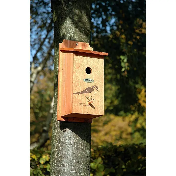 Dobar Nistkasten - L x B x H: 16 x 16 x 32 cm, Braun, Holz - Das Bild zeigt ein hölzernes Vogelhaus mit einem Bild einer Blaumeise, das an einem Baumstamm befestigt ist.
