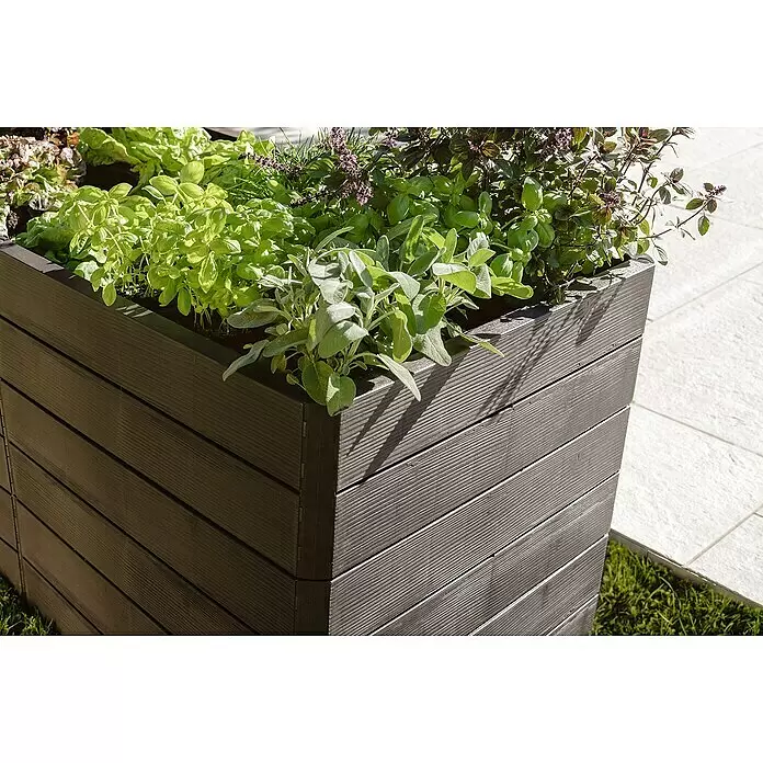 Garantia Hochbeet Ergo QUADRO U L 75 - 240 x 160 x 75 cm, Kunststoff, Anthrazit-braun - Dunkelbraunes Hochbeet mit Lattenoptik, gefüllt mit frischen grünen Kräutern.