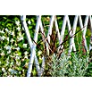 Dobar Hochbeet (L x B x H: 79 x 28,5 x 130 cm, Holz, Weiß) | BAUHAUS
