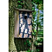 Dobar Nistkasten Pinus Sylvestris (15,5 x 14,5 x 30 cm, Holz, Braun) | BAUHAUS