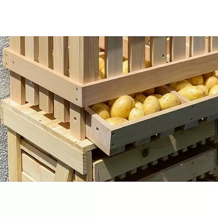 Dobar Kartoffel- & Obsthorde - L x B x H: 60 x 40 x 40 cm - Heller Holz-Kartoffelständer mit herausgezogener Schublade voller frischer gelber Kartoffeln.