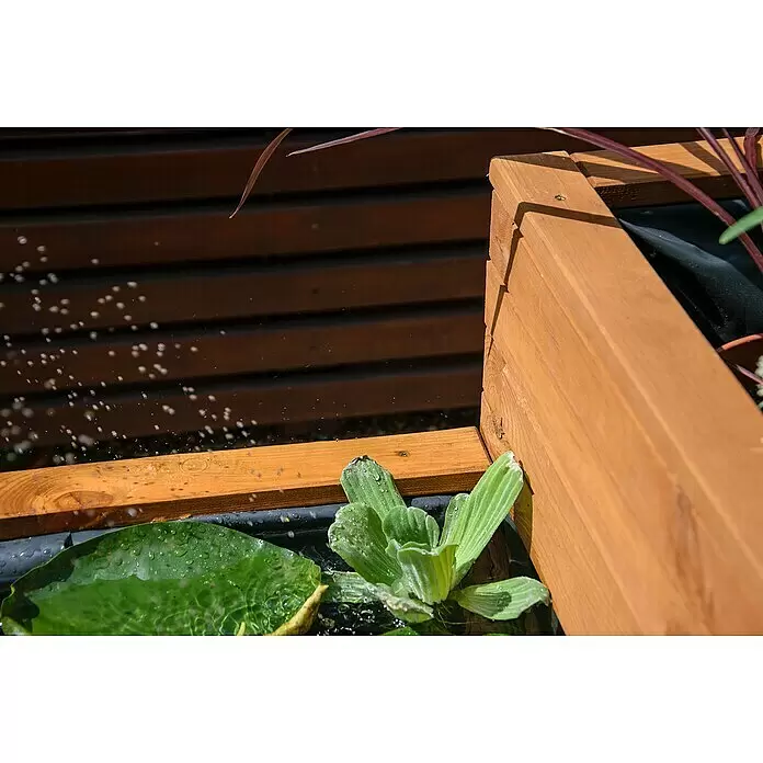 Dobar Hochteich Superb - L x B x H: 180 x 78 x 80 cm, Braun - Helles Holzhochbeet mit Wasserpflanzen und Wassertropfen in der Luft.