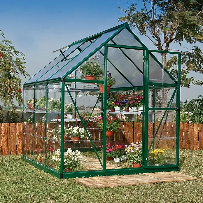 Palram – Canopia Gewächshaus Hybrid - Außenmaß inkl. Dachüberstand (B x T): 185 x 186 cm, 0,7 mm, Grün - Das grüne Gewächshaus ist mit Pflanzen gefüllt und bietet einen idyllischen Ort für die Gartenarbeit. Es bietet Schutz und verlängert die Anbausaison.