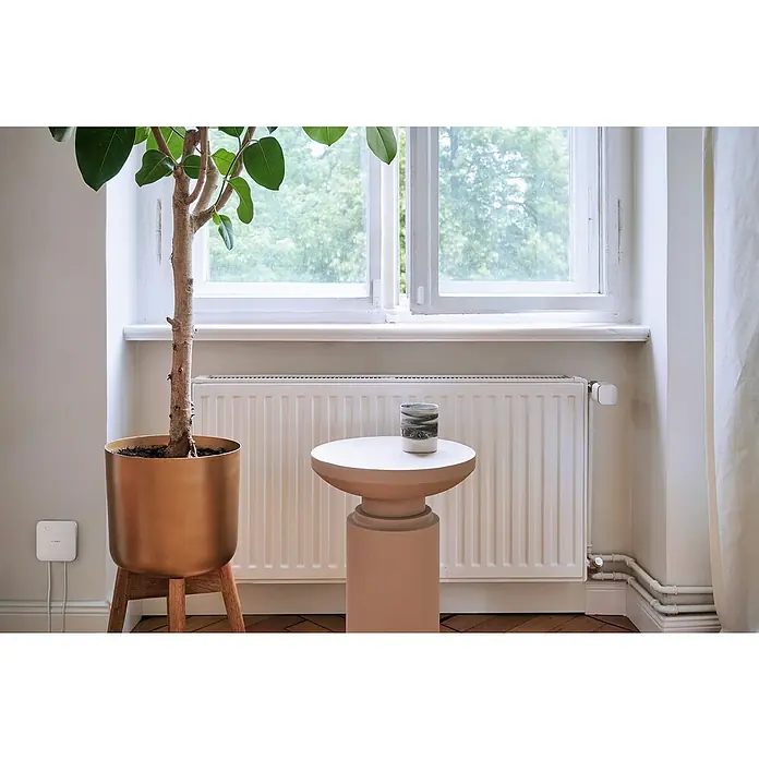Bosch Smart Home Controller II - ZigBee 3.0, Weiß/Silber - Innenaufnahme mit einem Ficus-Baum in einem goldenen Topf, einem Beistelltisch und einem Heizkörper unter einem Fenster. Elegantes Raumdekor.