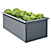 Gardol Hochbeet doppelwandig (200 x 100 x 76 cm, Stahl, Anthrazit) | BAUHAUS